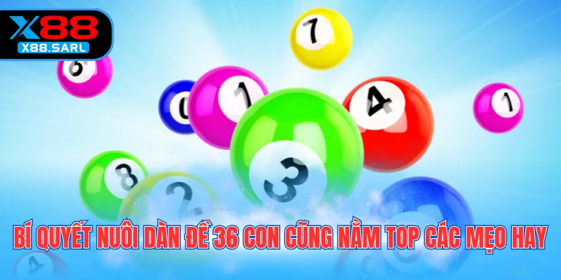 Bí quyết nuôi dàn đề 36 con cũng nằm top các mẹo hay