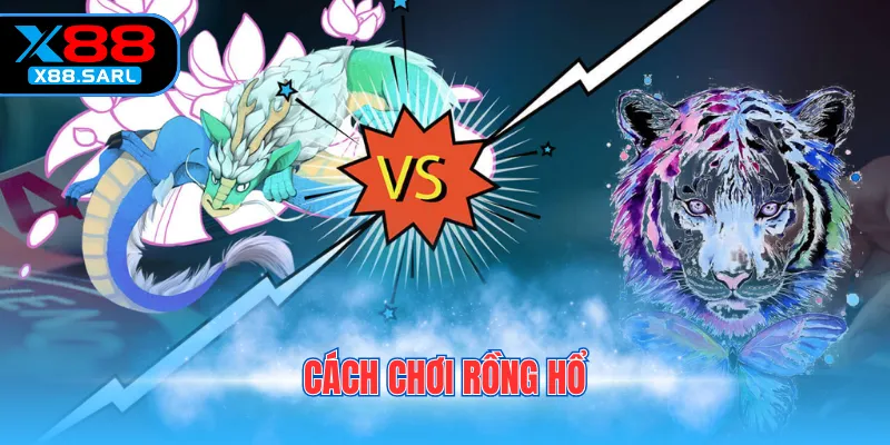 cách chơi rồng hổ
