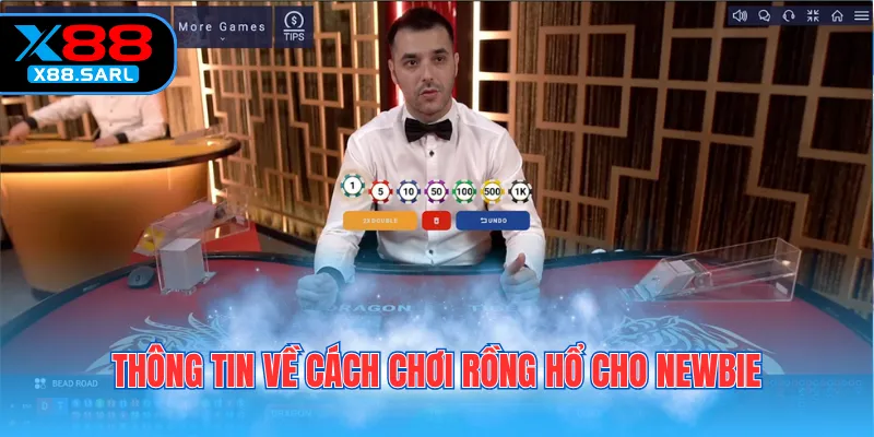 Thông tin về cách chơi rồng hổ cho newbie