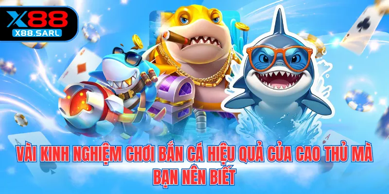 Vài kinh nghiệm chơi bắn cá hiệu quả của cao thủ mà bạn nên biết